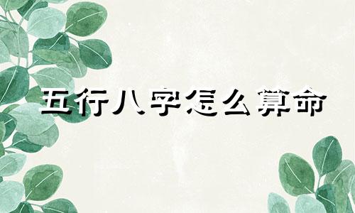 五行八字怎么算命 如何看八字算命