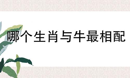 哪个生肖与牛最相配 牛最适合哪个生肖