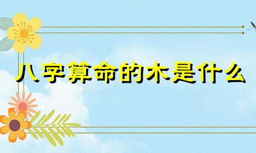 八字算命的木是什么 五行中木代表什么