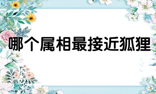 哪个属相最接近狐狸 狐狸和哪个属相最相似,狐狸像十二生肖中的哪一个