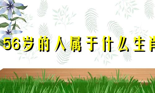 56岁的人属于什么生肖 虚岁56岁是属什么的