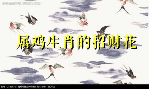 属鸡生肖的招财花 玉露对属鸡人的好处，能够带来财富和聚集财富