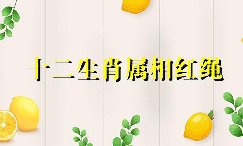 十二生肖属相红绳 堂前两条红头绳分别代表什么生肖