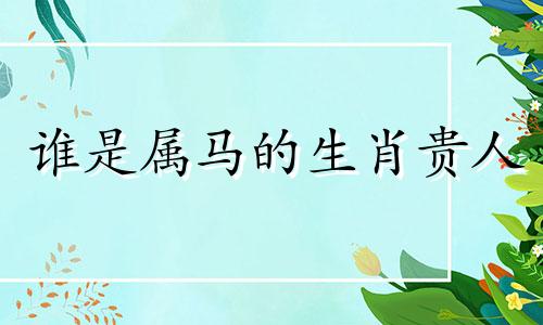 谁是属马的生肖贵人 属马的贵人是什么生肖
