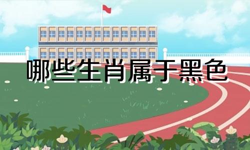 哪些生肖属于黑色 黑色生肖?