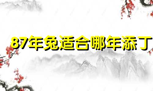 87年兔适合哪年添丁 87年属兔36岁有一灾