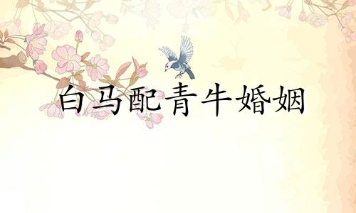 白马配青牛婚姻 白马怕青牛,断头婚可以相克一辈子吗