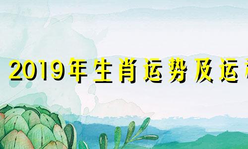 2019年生肖运势及运程 第一运程：十二生肖2019年运势