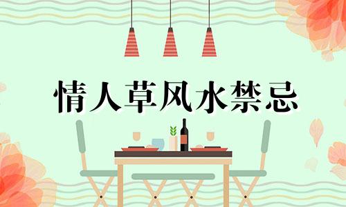 情人草风水禁忌 情人草可以放卧室吗,有没有毒