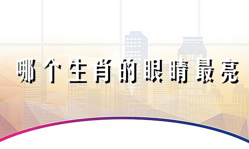 哪个生肖的眼睛最亮 在晚上，哪个生肖的眼睛最明亮