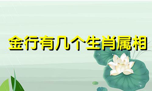 金行有几个生肖属相 五行属金的是哪个生肖