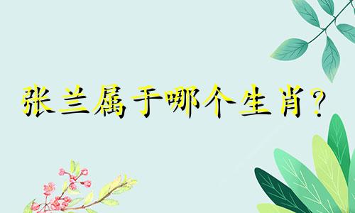 张兰属于哪个生肖? 汪小菲母子的生意经 汪小菲的母亲