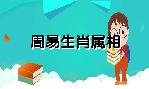 周易生肖属相 通过周易占卜和生命灵数来探索12个生肖与爱人之间的联系