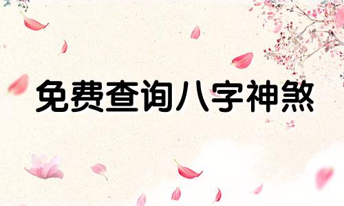 免费查询八字神煞 生辰八字查询，生辰八字查询