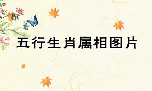 五行生肖属相图片 十二生肖图片，通过观察图片猜测生肖