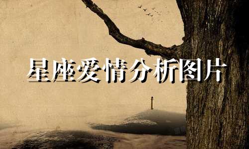 星座爱情分析图片 十二星座的恋爱类型，准确的星座爱情分析