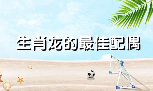 生肖龙的最佳配偶 属龙的最佳伴侣