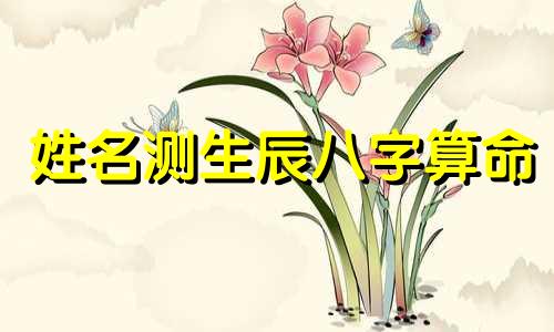 姓名测生辰八字算命 名字生辰八字测分打分免费测试,姓名测试打分生辰八字