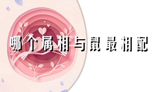 哪个属相与鼠最相配 属鼠的人最适合和哪个属相的人在一起