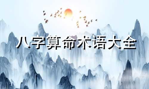 八字算命术语大全