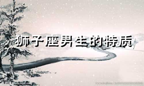 狮子座男生的特质