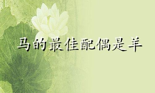 马的最佳配偶是羊 马与哪个生肖最相配