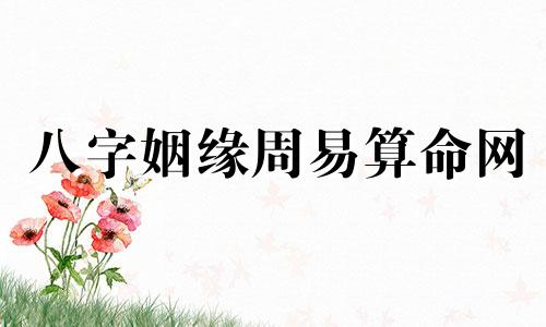 八字姻缘周易算命网 根据两人的生辰八字进行婚姻测试