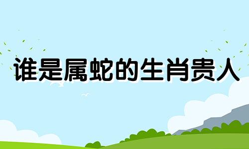 谁是属蛇的生肖贵人 属蛇的人一生中的三大贵人生肖