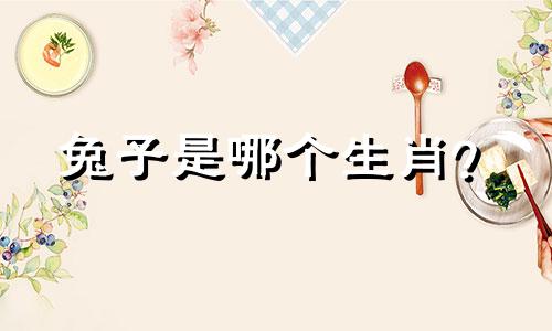 兔子是哪个生肖？