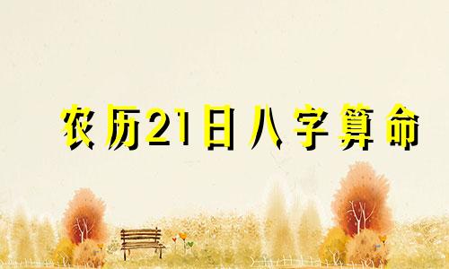 农历21日八字算命 农历1979年7月21日02时的生辰八字算命如何
