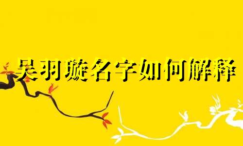 吴羽璇名字如何解释 吴璇这个名字怎么样