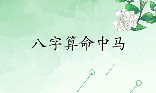 八字算命中马 八字驿马是什么意思