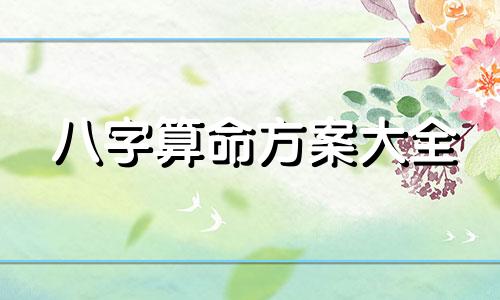 八字算命方案大全 怎样用生辰八字算命