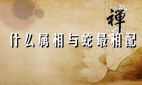 什么属相与蛇最相配 属蛇的人最适合和哪个属相的人在一起