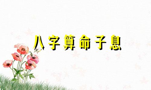 八字算命子息 算命中女命子息是什么意思