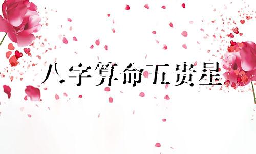 八字算命五贵星 八字排盘,神煞,帮帮忙啊