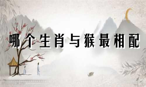 哪个生肖与猴最相配 猴最适合与哪个生肖结婚