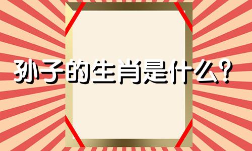 孙子的生肖是什么？