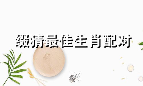 缀猜最佳生肖配对 属相的最佳配对，十二生肖最佳配对表格有哪些可以改写为缀猜最佳