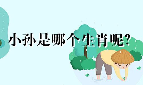 小孙是哪个生肖呢？ 姓孙被人称为小子，打十二生肖