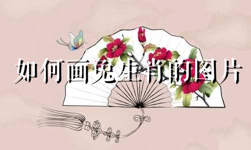 如何画兔生肖的图片 如何画生肖兔