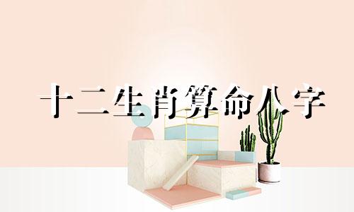 十二生肖算命八字 生辰八字的计算方法