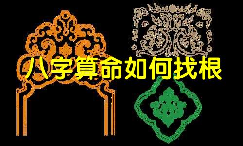 八字算命如何找根 小孩八字根基如何查,如何查孩子五行