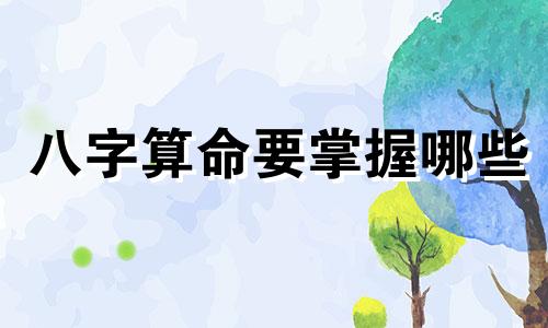 八字算命要掌握哪些 专业八字算命一般会看哪些方面