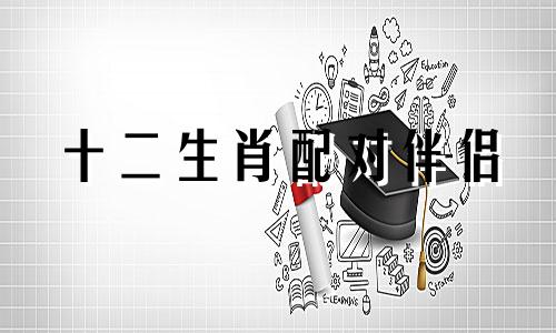 十二生肖配对伴侣 男女最佳配偶表