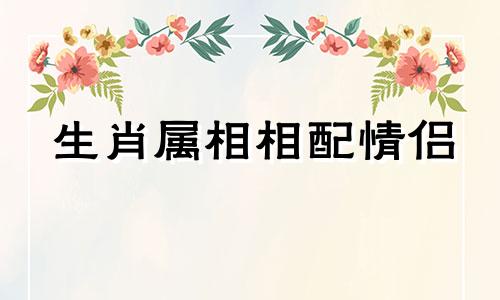 生肖属相相配情侣 最般配的情侣生肖配对情侣的生肖表