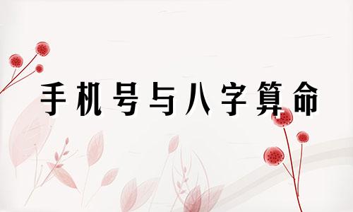 手机号与八字算命 八字和手机号码匹配测试,怎么算手机号码吉凶