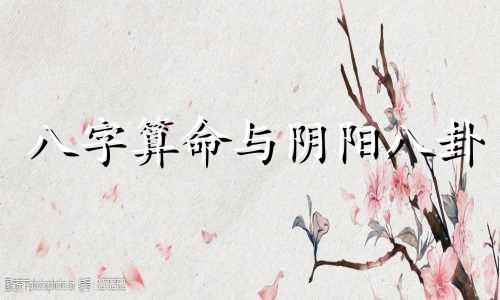 八字算命与阴阳八卦 怎么看自己生辰八字阴阳,如何知道自己的生辰八字