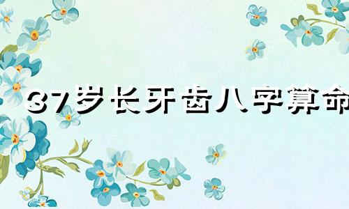 37岁长牙齿八字算命 男人牙齿看相算命
