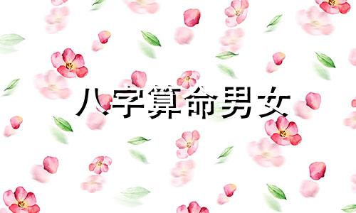 八字算命男女 八字如何看生男生女